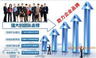 湖南網店美工設計、代運營與網絡營銷策劃 一站式電商服務解決方案