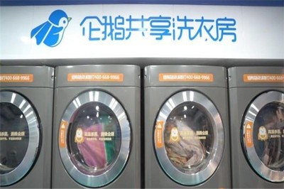 企鵝共享洗衣機 革新城市洗衣體驗的智慧生活方案